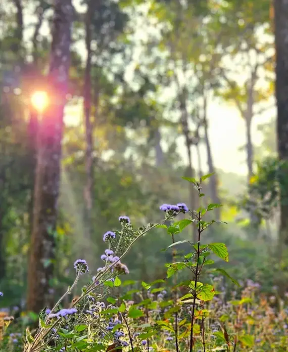 Natural Beauty Abounds
