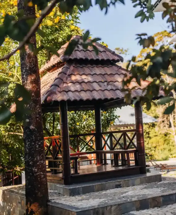 Tranquil Ambiance